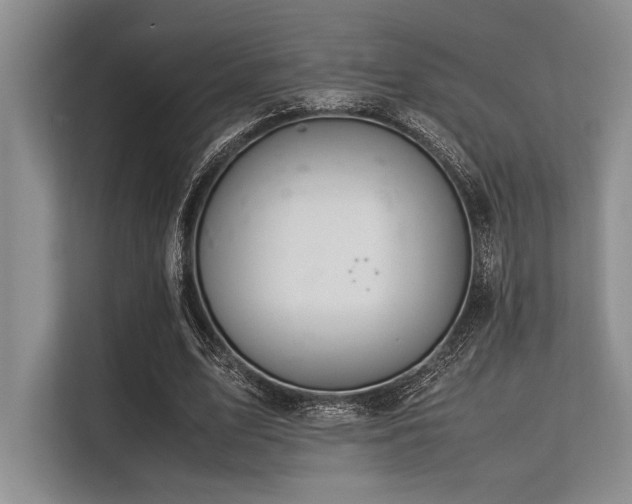 X0000113560583200909181221