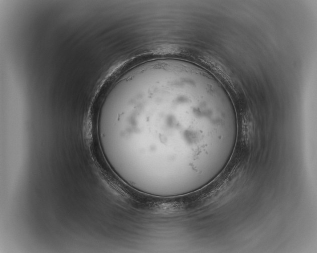 X0000113560584200909181221