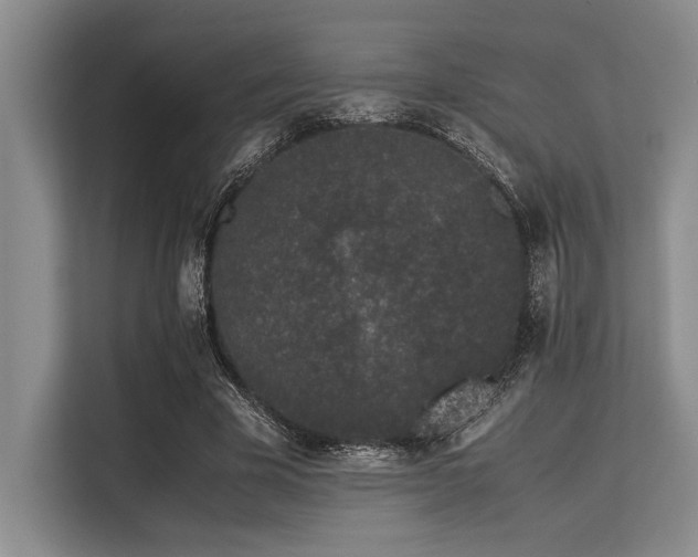 X0000113560585200909181221