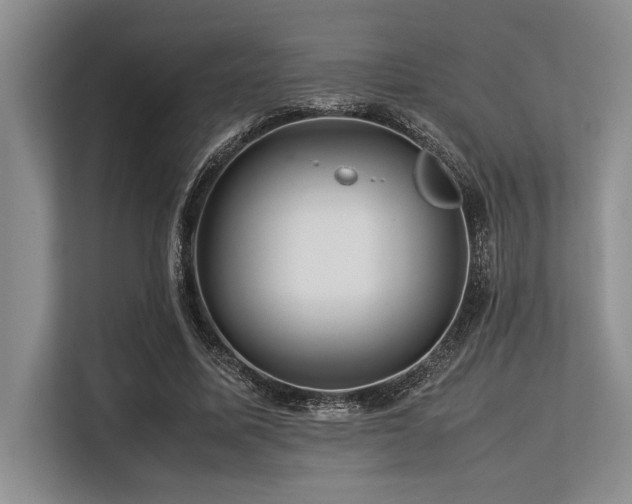 X0000113560587200909181221