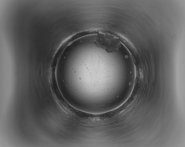 X0000113560588200909181221