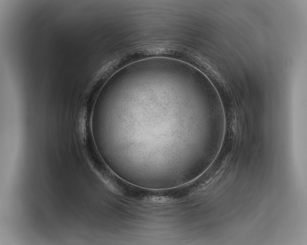 X0000113560590200909181221
