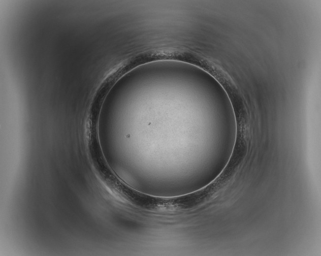 X0000113560591200909181221