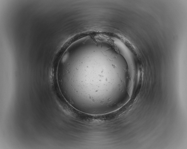 X0000113560592200909181221