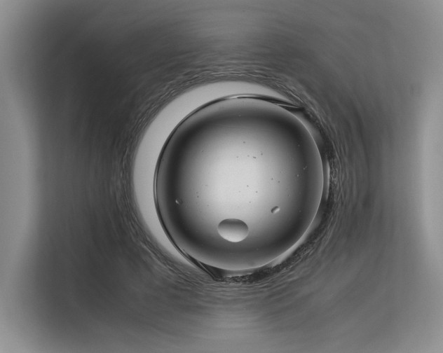 X0000113560593200909181221