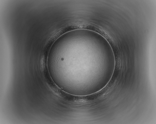 X0000113560594200909181221