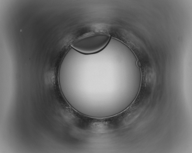 X0000113560595200909181221