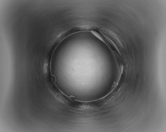 X0000113560596200909181221