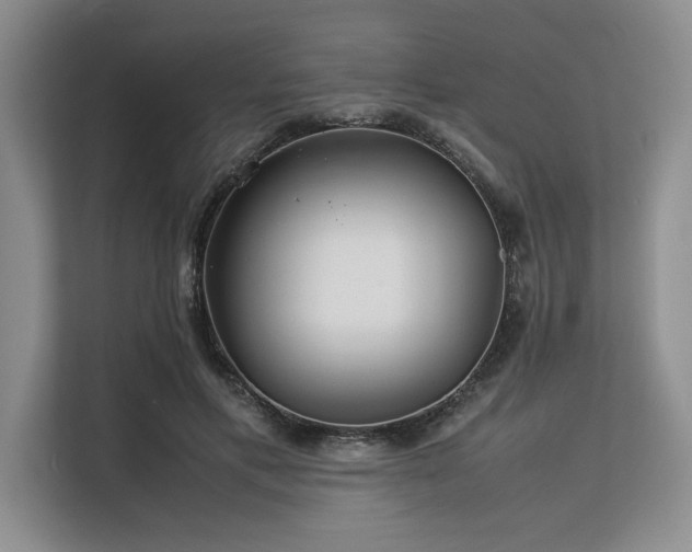 X0000113560597200909181221