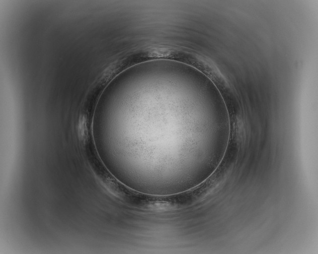 X0000113560598200909181221