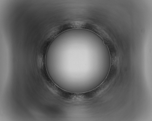 X0000113560599200909181221