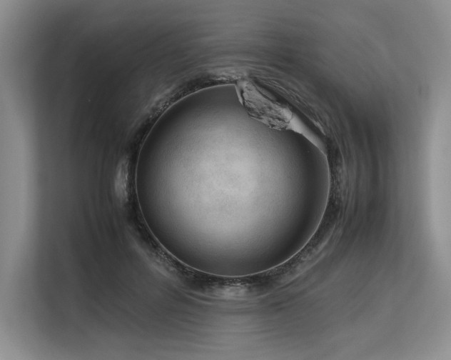 X0000113560600200909181221