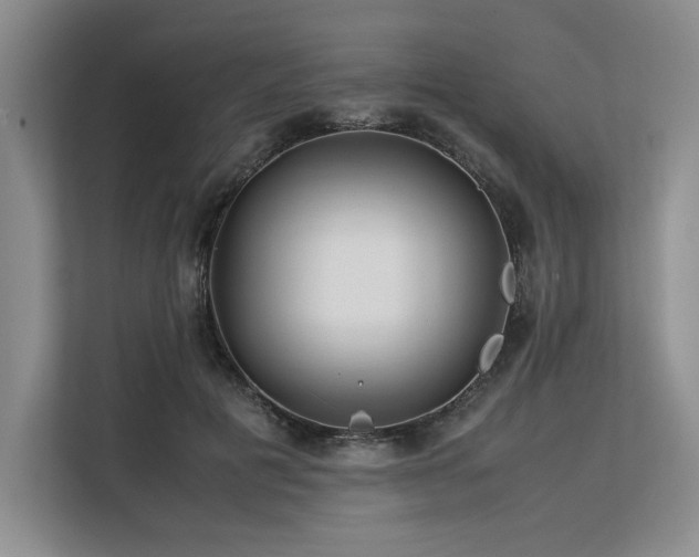 X0000113560601200909181221