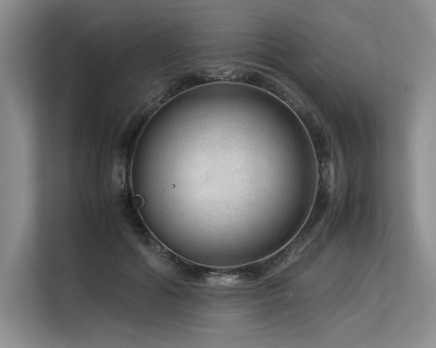 X0000113560602200909181221