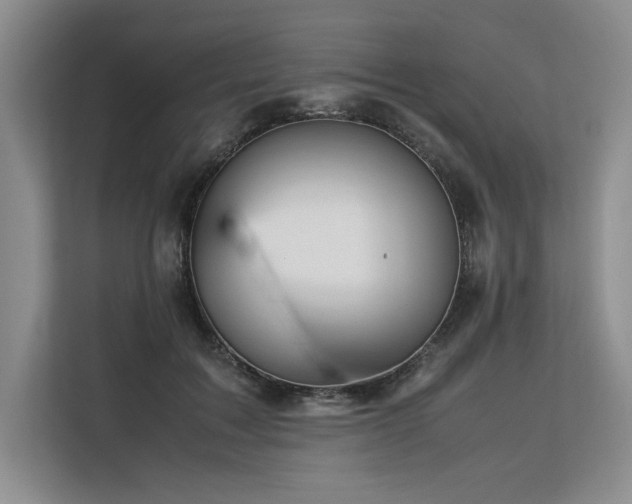 X0000113560603200909181221
