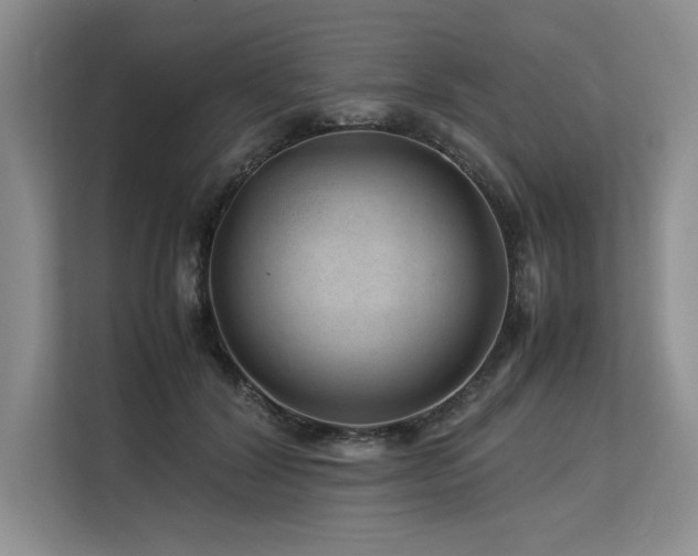 X0000113560604200909181221