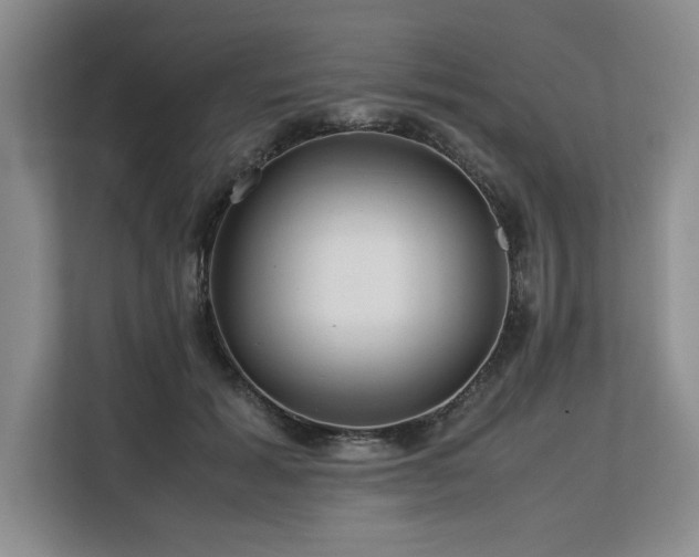 X0000113560605200909181221