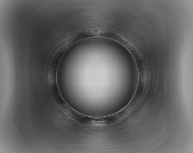 X0000113560606200909181221