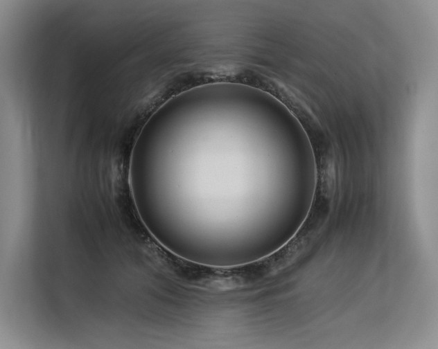 X0000113560608200909181221