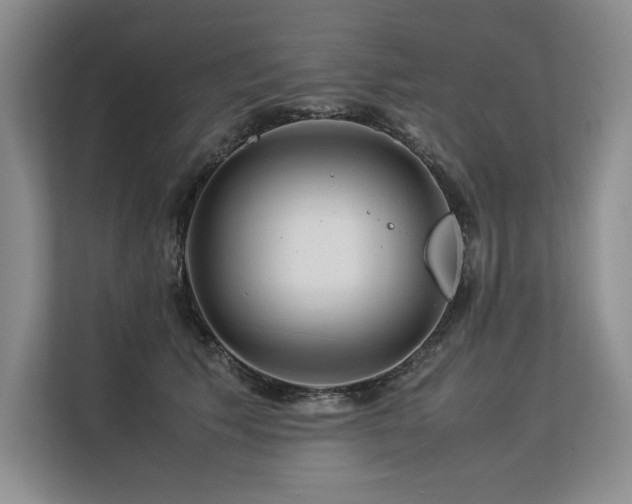 X0000113560609200909181221
