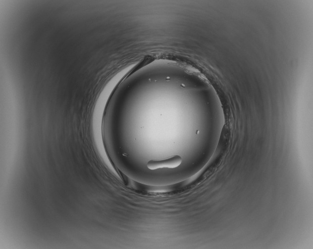 X0000113560611200909181221
