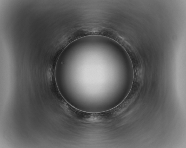 X0000113560612200909181221