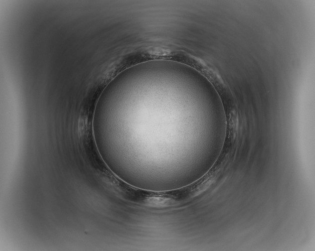 X0000113560614200909181221