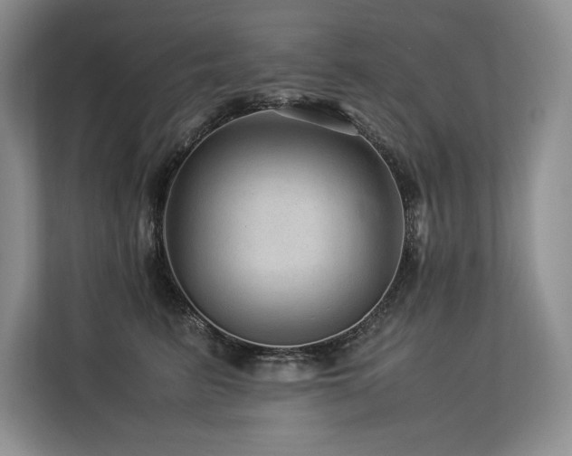 X0000113560615200909181221
