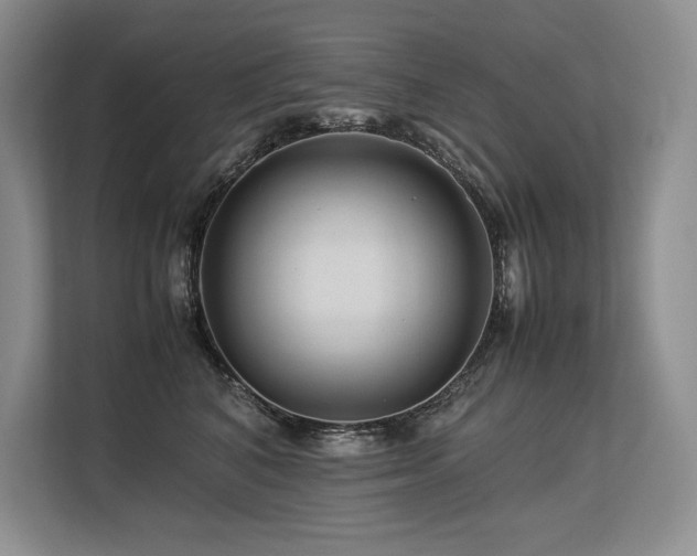 X0000113560616200909181221