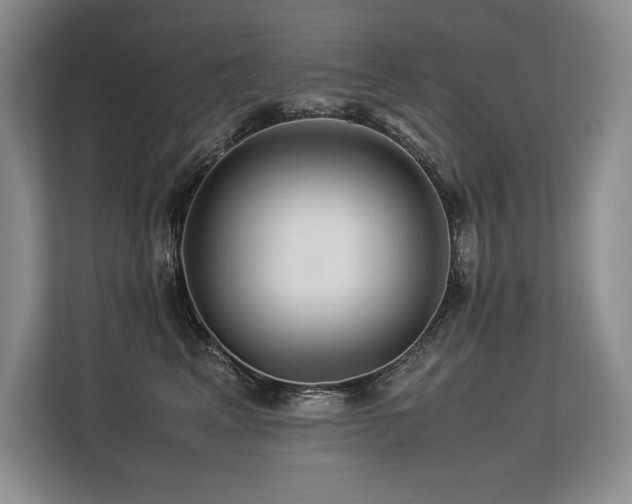 X0000113560617200909181221