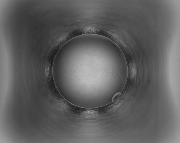 X0000113560619200909181221