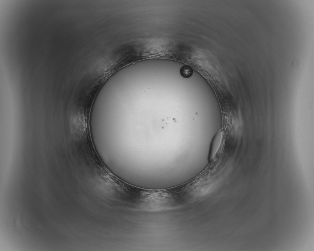 X0000113560621200909181221
