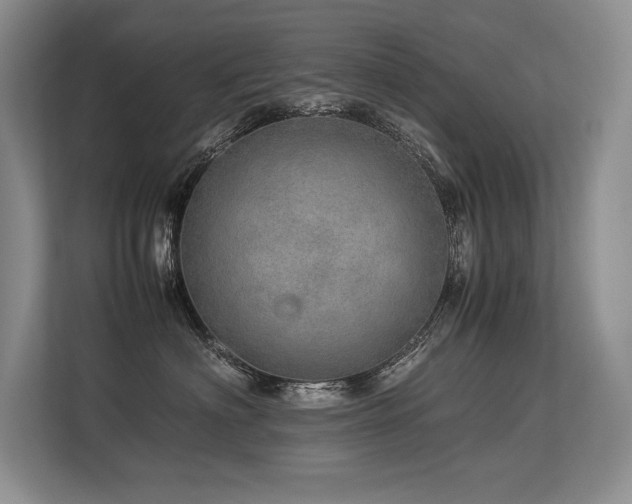 X0000113560622200909181221