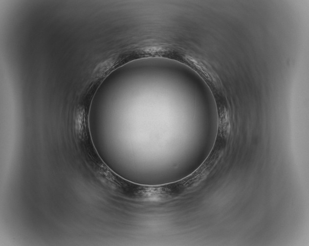 X0000113560623200909181221