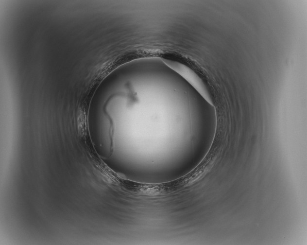 X0000113560624200909181221