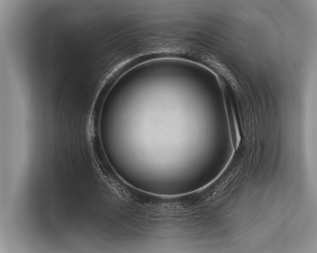 X0000113560628200909181220