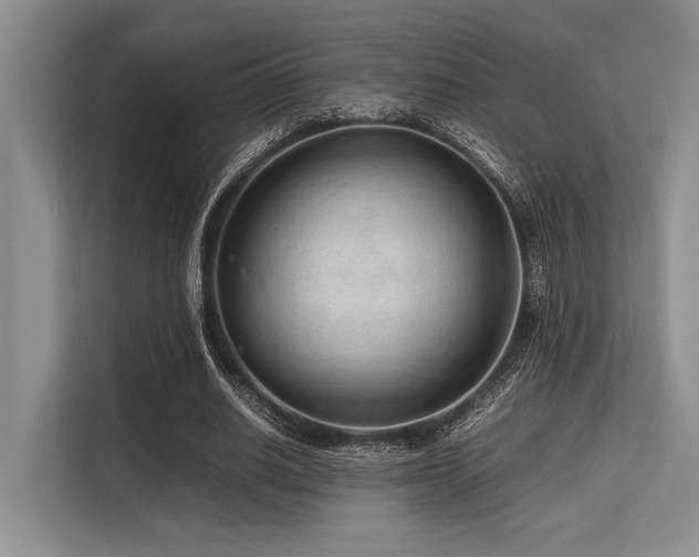 X0000113560630200909181220