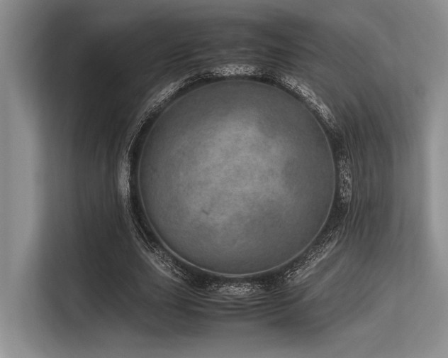 X0000113560631200909181220