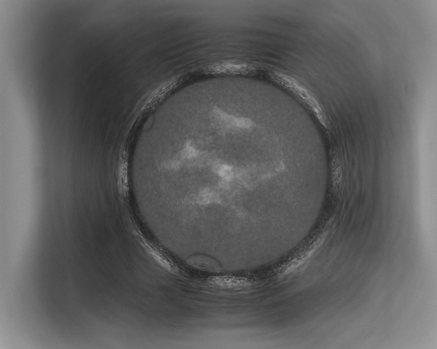 X0000113560633200909181220