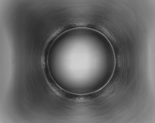 X0000113560634200909181220