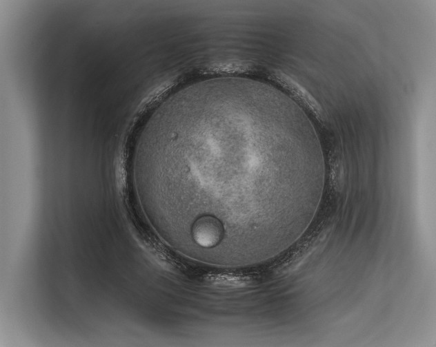 X0000113560635200909181220
