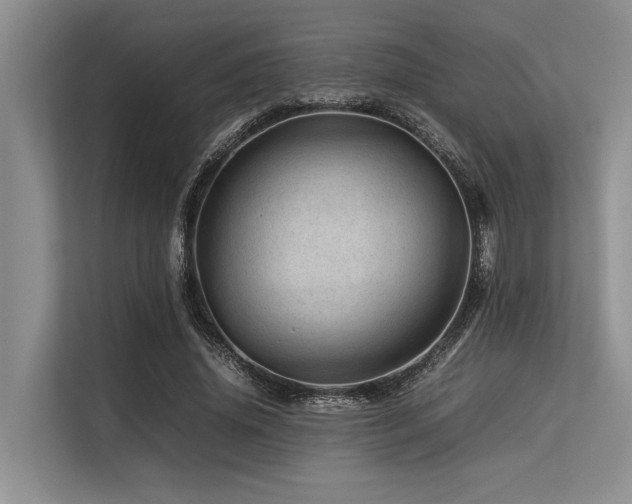 X0000113560636200909181220
