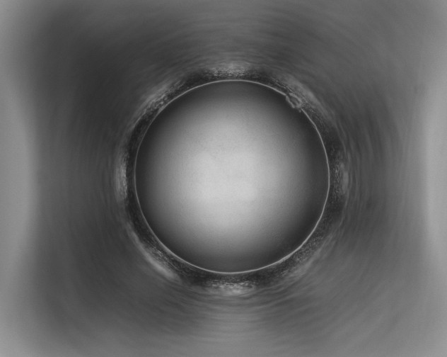 X0000113560638200909181220