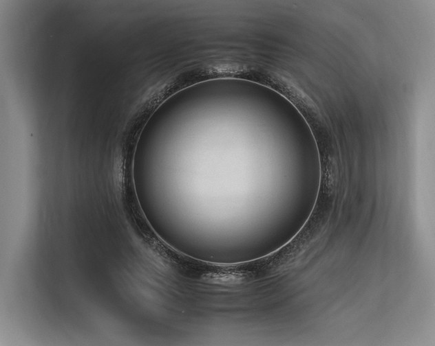 X0000113560639200909181220