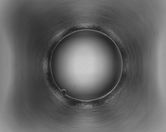 X0000113560640200909181220