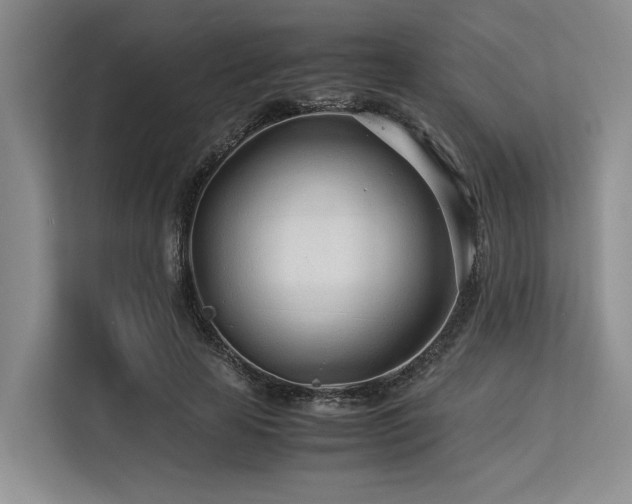 X0000113560641200909181220