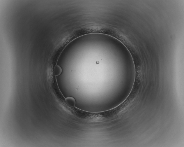 X0000113560642200909181220