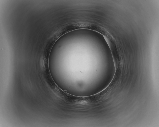 X0000113560643200909181220
