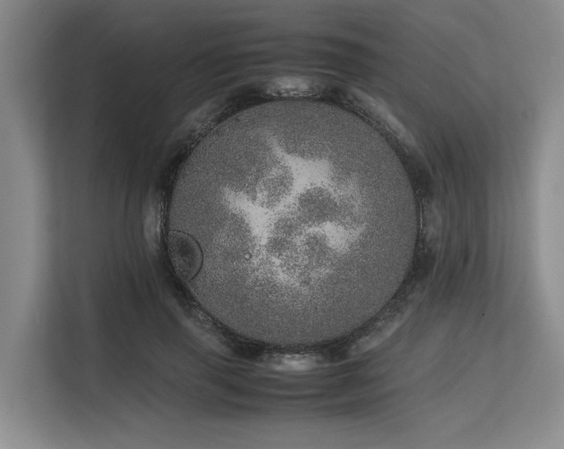 X0000113560645200909181220