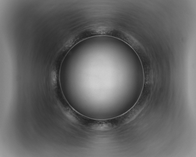X0000113560646200909181220